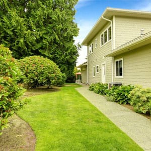 landscaped-backyard
