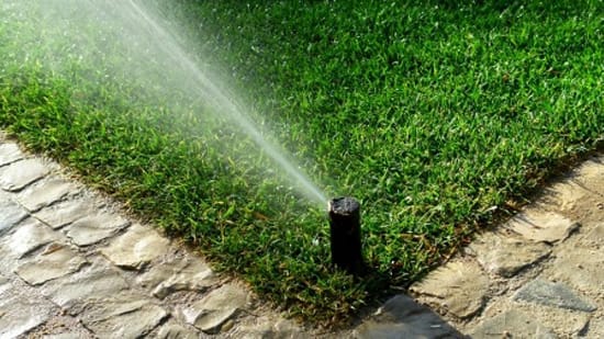 sprinklers