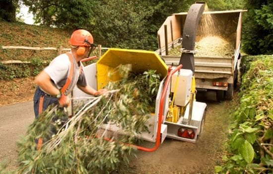 yard-cleanup