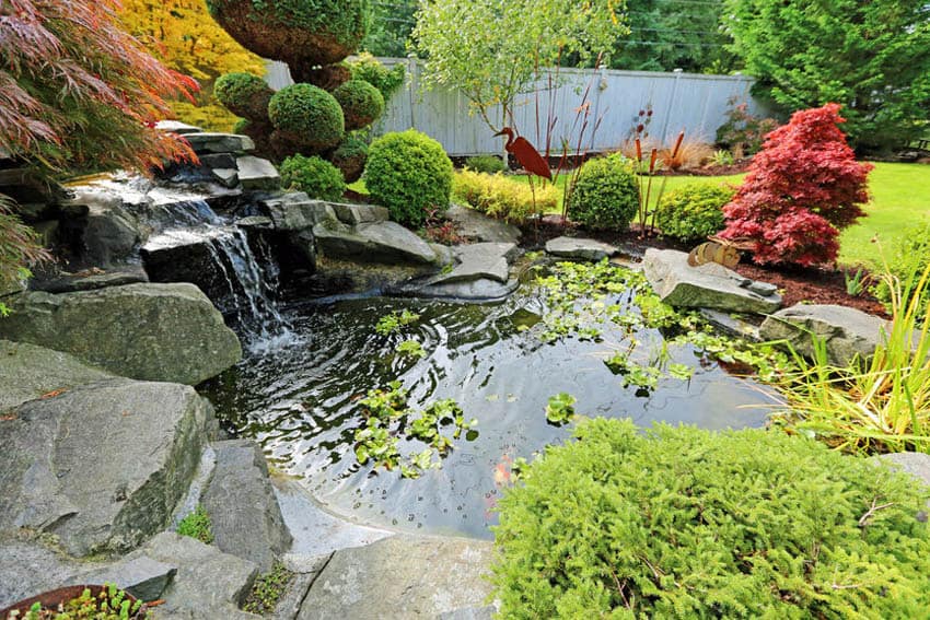 yard-pond